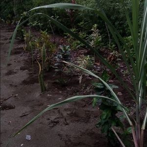 Meet your Posher, Paul